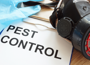 Pest Control