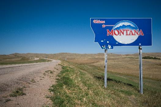 Montana Board